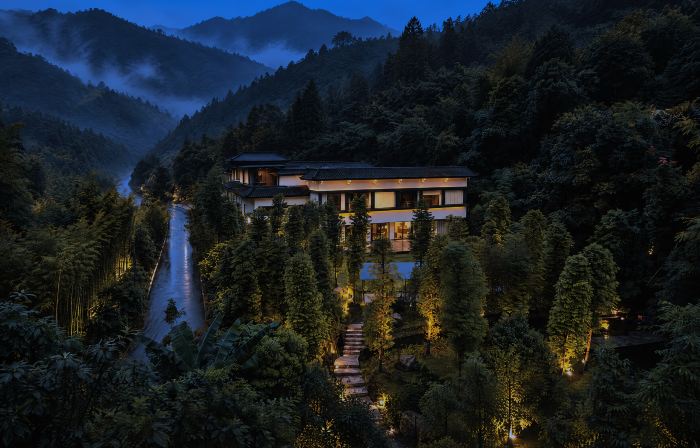Self-Healing Forest Therapy