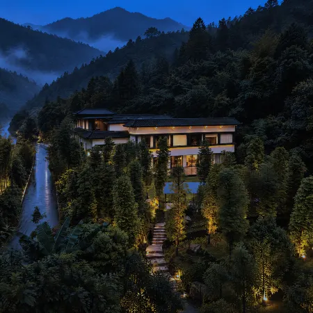 Self-Healing Forest Therapy