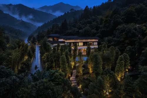 Self-Healing Forest Therapy - Desayuno