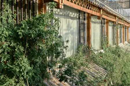 Fuxianhu Shuyuan Hotel Отели рядом с достопримечательностью «Fuxian Lake Shijia Cherry Blossom Garden»