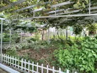 Liuyang Dawaishan Orchard Fishing Farm - Farmhouses