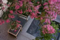 Tengchong Yunhaiju Hot Spring Courtyard Inn - سبا