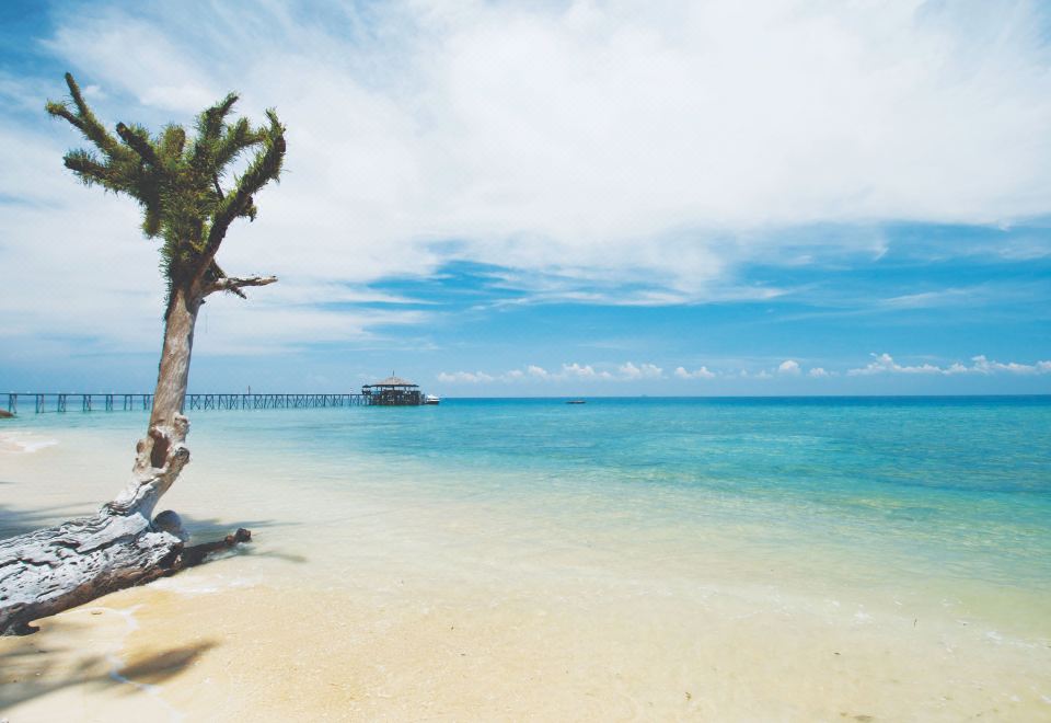 1. 자파말라 리조트..