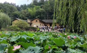 Shaoshan Maosheng farm