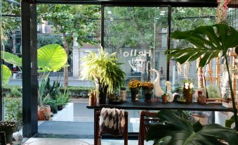 The indoor garden area features a room with large windows and plants on the table in front at CITY PARK HOTEL