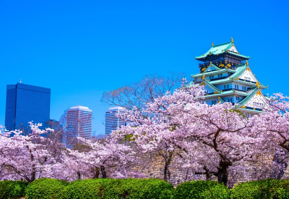 Super Hotel Osaka Natural Hot SpringsOver view