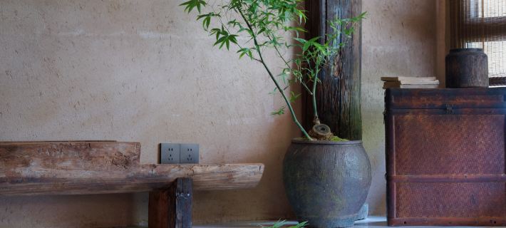 Dongjianghu Muzixing Inn 쯔싱 호텔