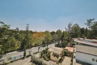 NATURE LAND 2 - Song Anh Hotel Dalat Các khách sạn gần Vườn hoa thành phố Đà Lạt