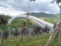 Travel Youth · L Designer Homestay - Gym