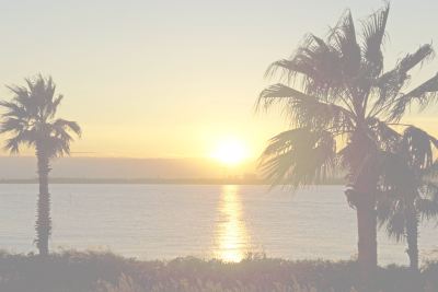 ホテルからの眺望 東京ベイ舞浜ホテル ファーストリゾートの写真