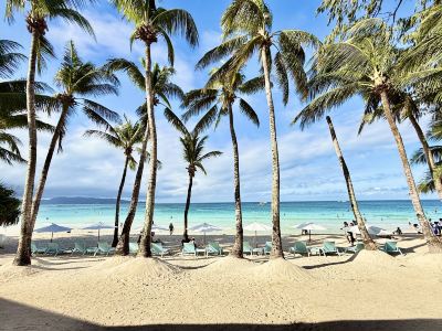 Calypso Beach and Dive Resort