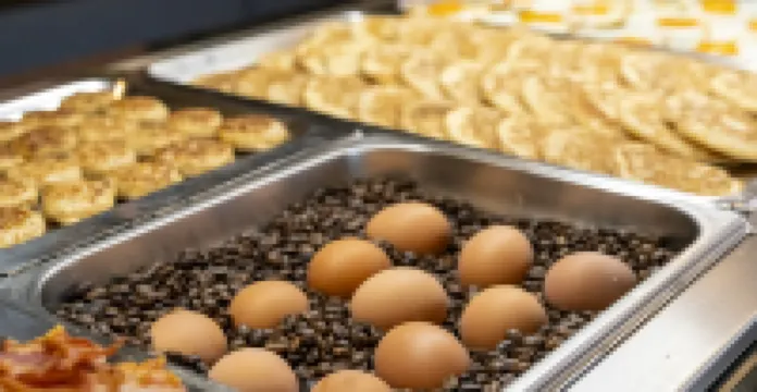 布奇霍爾內霍夫廣場酒店 腓特烈斯港酒店