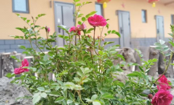 tieguniangjiademinsu