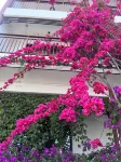 Guiyuan Homestay Hotels in Yichang Three Gorges Dam Tourist Area