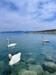 Sailimu Lake Muyun Cloud Wild Luxury Camp