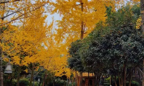 Emei Mountain Wulan Resort Hotel