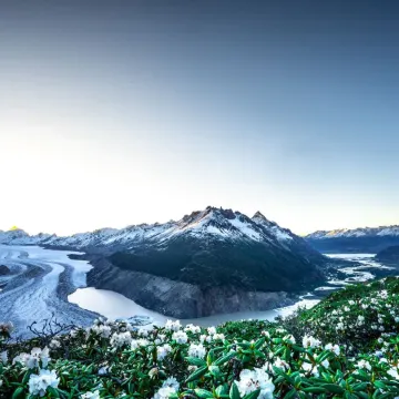 Laigu Glacier Gaozan Yangqiecang Retreat Homestay