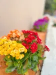 羅浮山山隅水畔·Elegant 青山枕澗|溪畔聽風|幽境山居輕奢美宿 - 2 星級