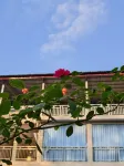 Pengzhou Gaoshan Yuanquan Farm Stay - 2 stjerner