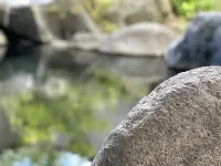 Yufuin Onsen Hasuwa Inn - romantici