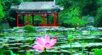 Fragrant Hill Hotel - Bergblick