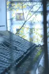 泰合之ホテル（陽朔西通り） - 格安