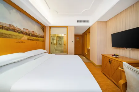 Vienna Hotel (Shenzhen Longhua Yicheng Center)