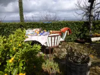 Le Querciolaie Monte Cavallo