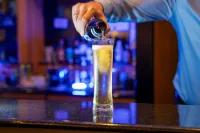 PLAZA Premium Wien - bar