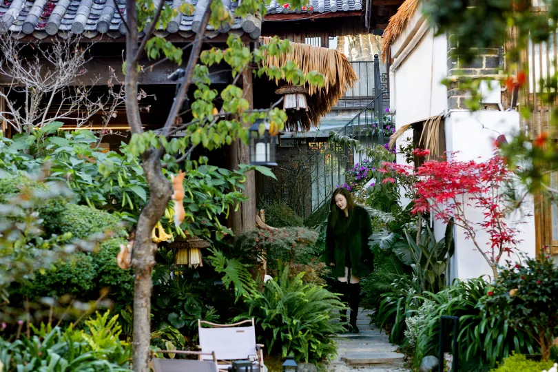 ‌The Secret Garden of Cats & Wolf's Den | Barista Courtyard Cafe & Inn (Wuyi Street)