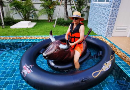 Big swimming pool garden villa