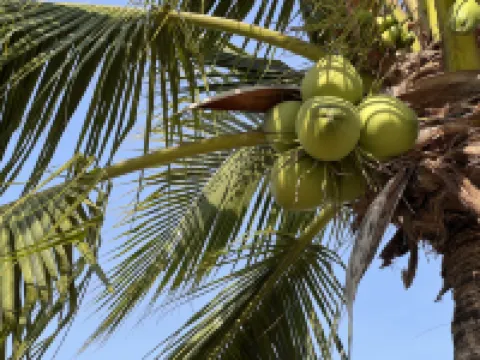 WECOMSTAY VINHOME GRAND PARK Hotel berhampiran Ao Dai Museum