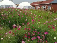 Zhang Beishi and distant homestay