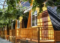 Qianzi Xiaozhen Homestay (Turpan Putaogou Scenic Area Qingwaxiang)