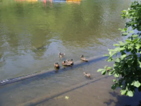 Linshuiju View Homestay (Changbai Mountain Magic World Scenic Area) โรงแรมในอันถู