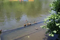 Linshuiju View Homestay (Changbai Mountain Magic World Scenic Area)