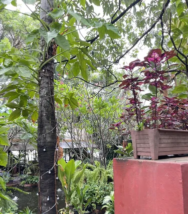 รูปภาพของบาอิค สวีท