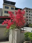 Luanshanqi Homestay