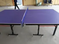 延安兀裏紅謠窯洞ホテル - ペット同伴可
