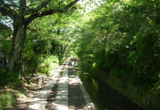 헤이안노모리 교토