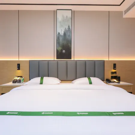 GreenTree Inn Bozhou Traditional Chinese Medicine City High speed Railway South Station Store