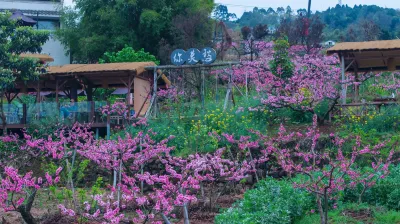 Chengdu Shunzi Shouhuangjiang Homestay Отели рядом с достопримечательностью «Станция покупки побочных продуктов Миньсяна, Тайюань, Лункуэнь»