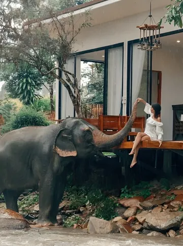 รูปภาพของ3 ป๊อก แม่วาง จินเซียง โกลด์ เอลเลแฟนต์ พาร์ค