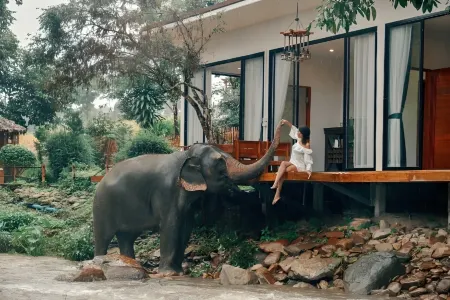 3 Pok Maewang jinxiang Gold elephant park Отели в г. Mae Wang