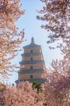 Center Hotel (Xi'an Bell Tower) - رومانسي