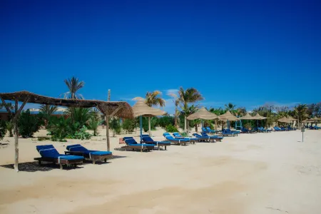Mangrove Bay Resort Отели в г. Qesm Al Qoseir