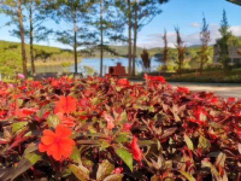 Romeo Juliet Dalat Resort Hotels near Truc Lam Buddhist Monastery