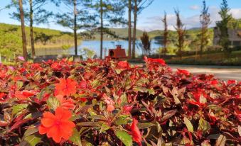 Romeo Juliet Dalat Resort