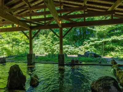 KAMENOI HOTEL TAZAWAKO Hôtels à : 
