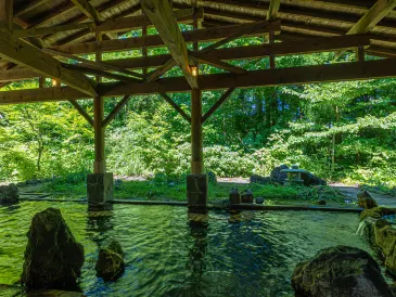 KAMENOI HOTEL TAZAWAKO